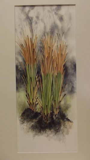 DSCF0262