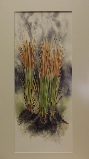 DSCF0263