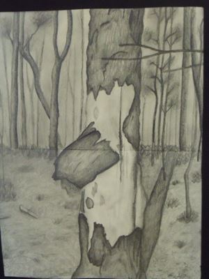 DSCF3172