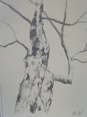 DSCF3175