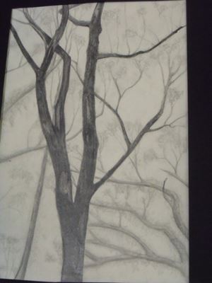 DSCF3179