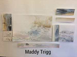 IMG 0425