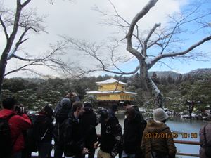 IMG 4375 copy