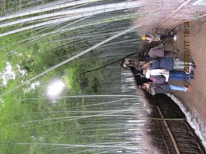 IMG 4390 copy