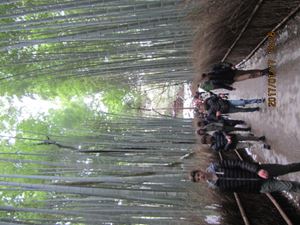 IMG 4398 copy