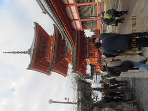 IMG 4406 copy