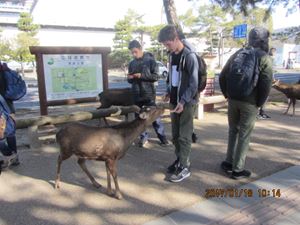 IMG 4418 copy
