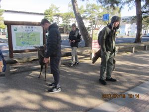 IMG 4420 copy