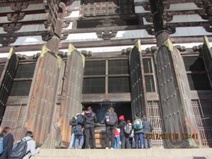IMG 4421 copy