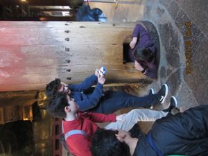 IMG 4422 copy