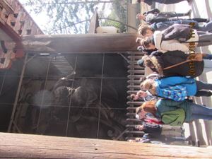 IMG 4428 copy