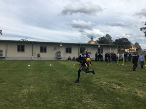 image14
