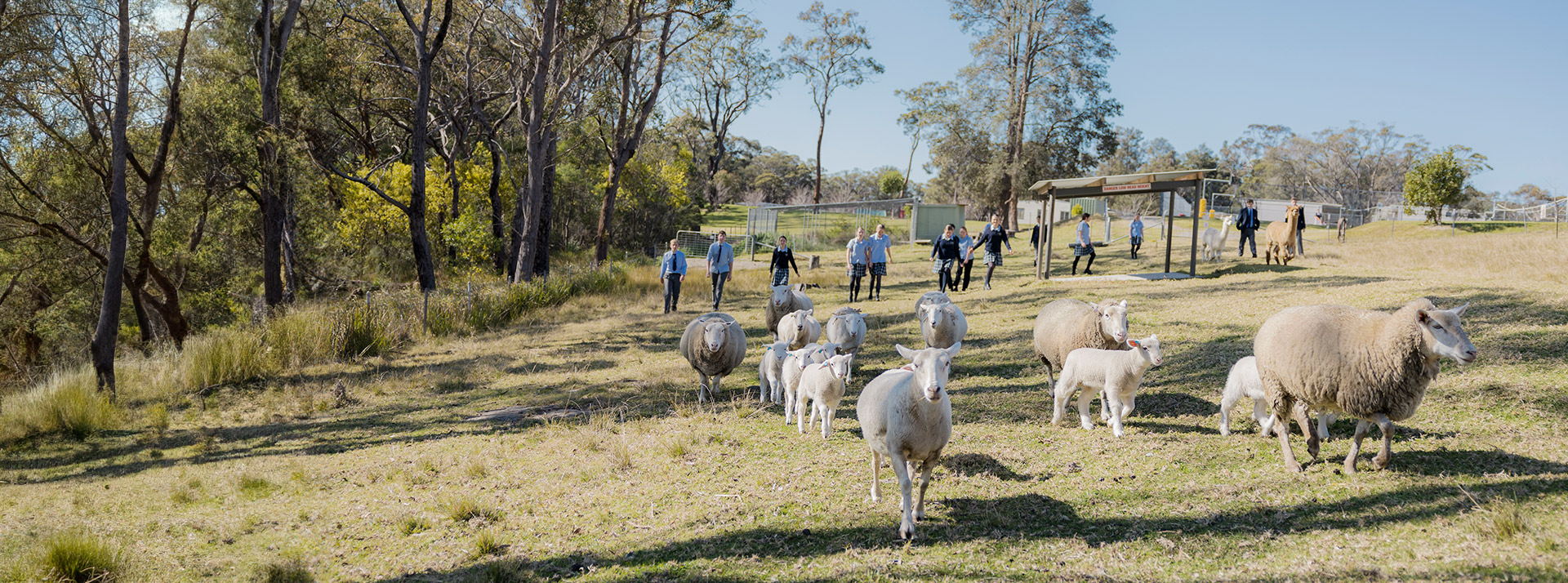 Students walking through the school farm at St Columba’s Catholic College Springwood
