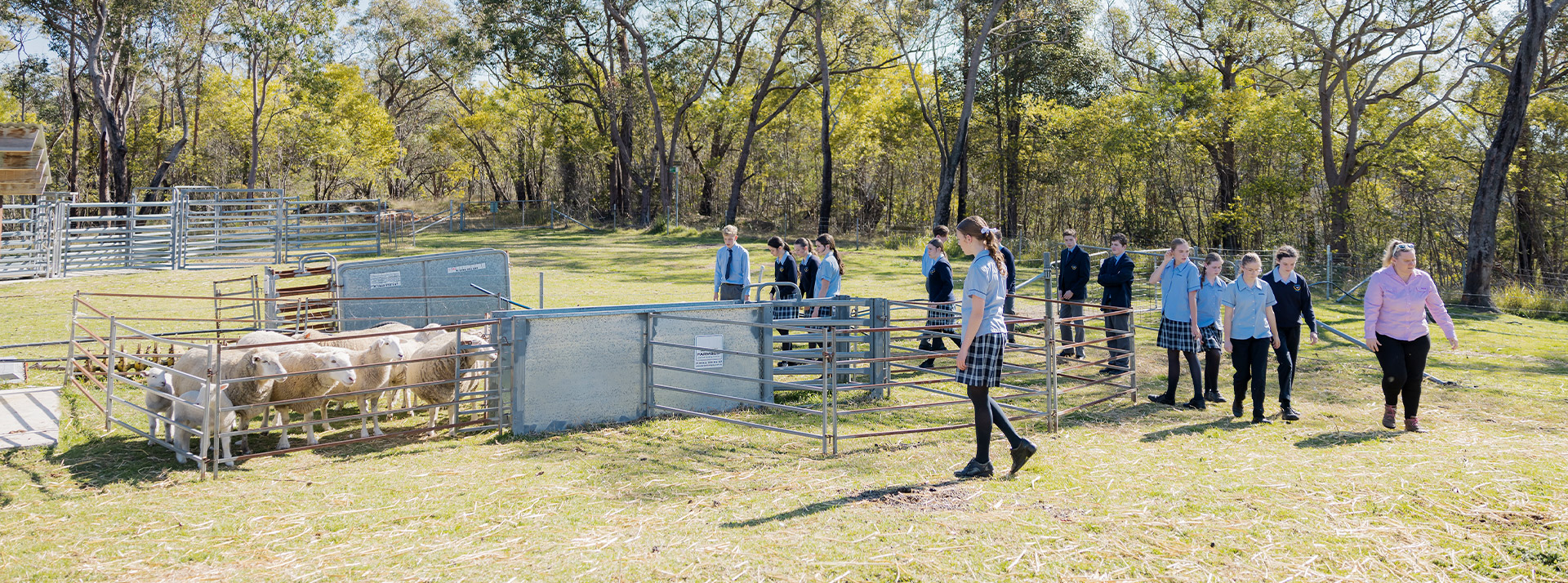 Students in the school farm at St Columba’s Catholic College Springwood