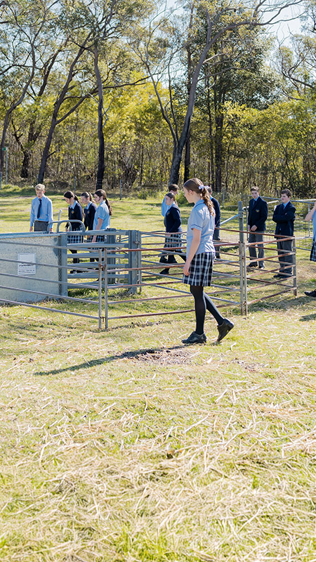 Students in the school farm at St Columba’s Catholic College Springwood