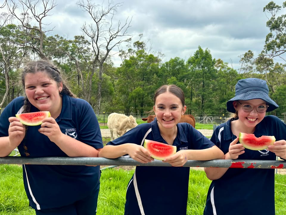 1079941253928892_1402672228322458-1