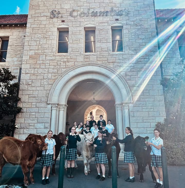 1079941253928892_1437947388128275-1