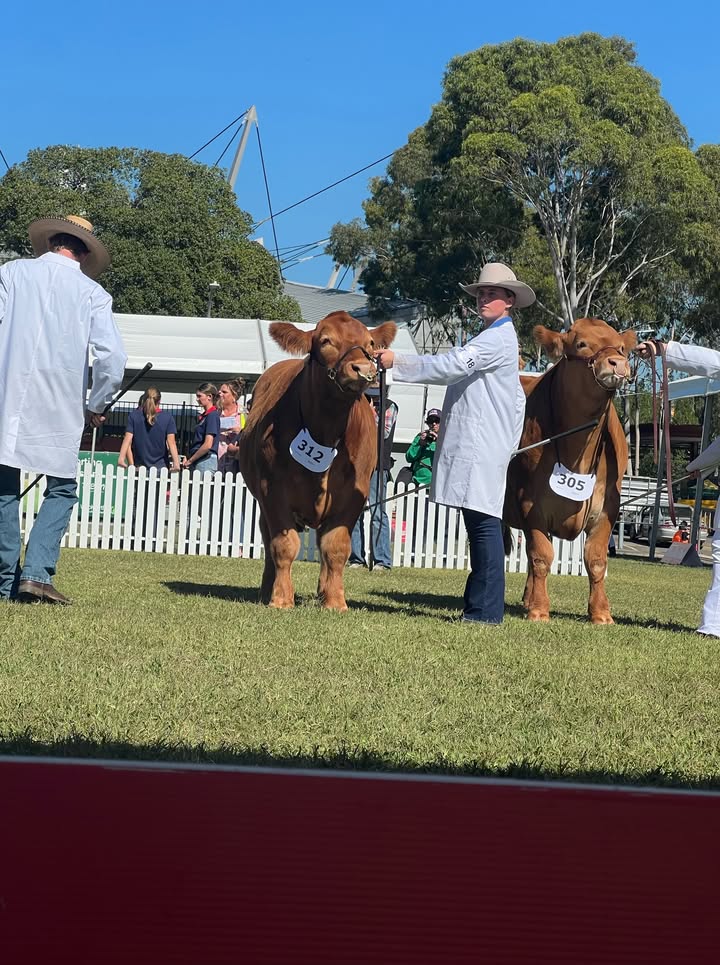 1079941253928892_1442900477632966-1